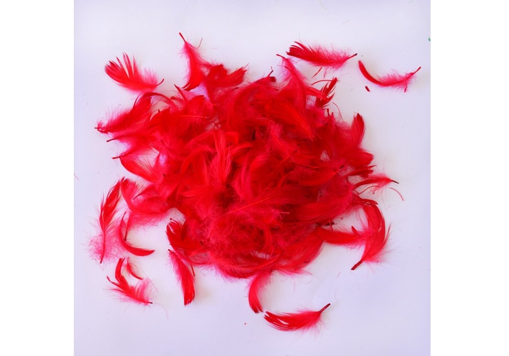 Наповнювач декоративний: пір'я червоне, 10 гр