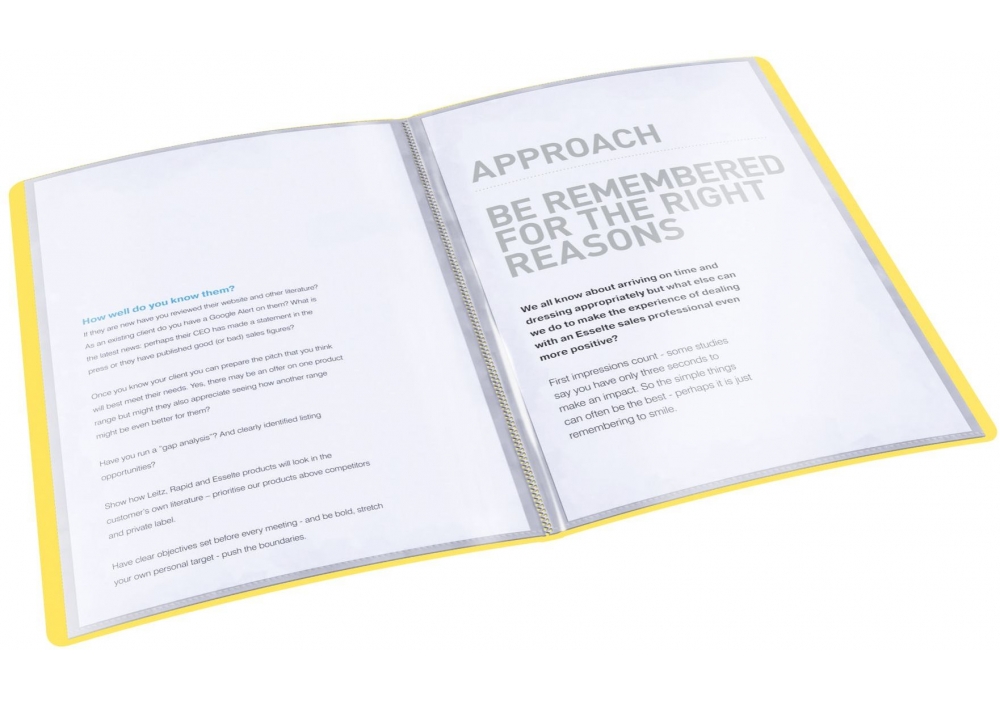 Папка с файлами Esselte Vivida, 20 файлов, желтая