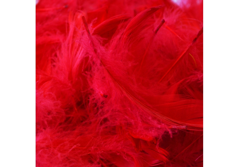 Наповнювач декоративний: пір'я червоне, 10 гр