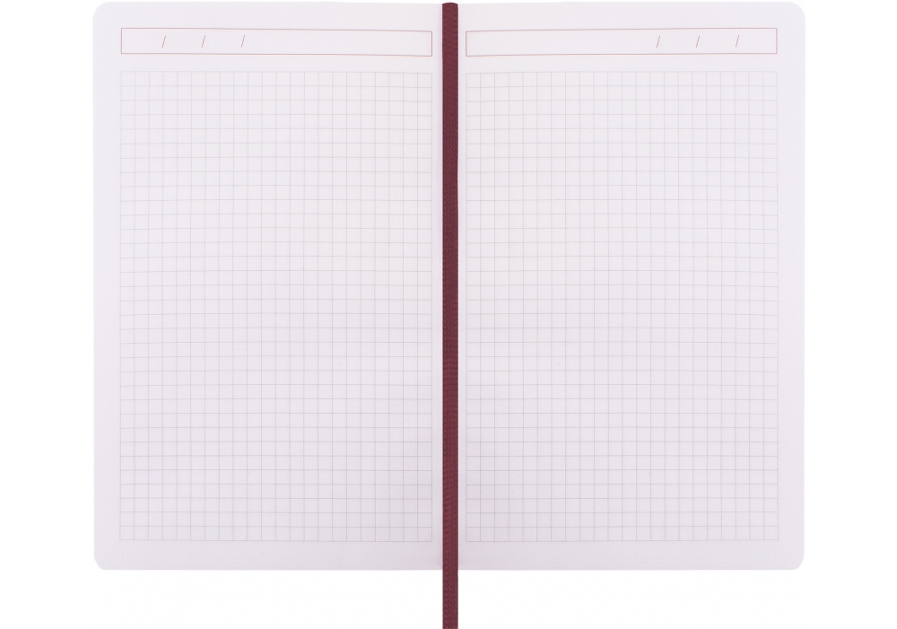 Діловий записник MAGIC, А5, тверда обкладинка, гумка, білий блок клітинка, фісташковий