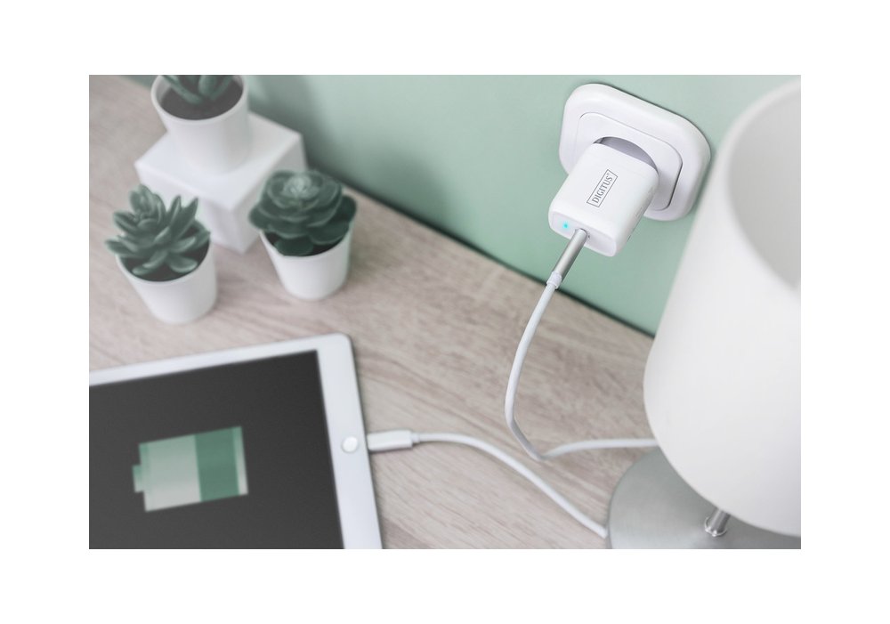 Зарядное устройство DIGITUS Universal USB-C