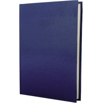 Щоденник датований 2024, SNAKE (ЗМІЯ), синій, А5
