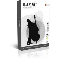 Бумага офисная MAESTRO Standart, A4, 80г / м2, 500л, класс C