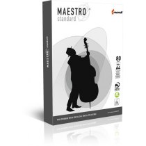 Папір офісний  MAESTRO Standart, A4, 80г/м2, 500арк, клас C