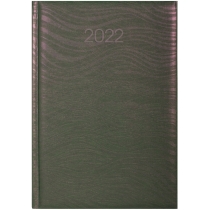 Щоденник датований 2022, SEA, рожево-зелений хамелеон, А6