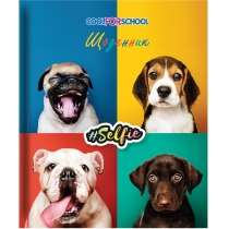 Щоденник шкільний, 165х210 мм, "Dogs" 48 арк