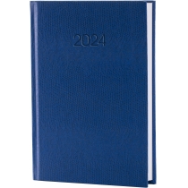 Щоденник датований 2024, SNAKE (ЗМІЯ), блакитний, А5