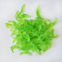 Наповнювач декоративний: пір'я салатне, 10 гр