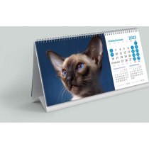 Календар настільний з перекидним блоком 2023 (Котик)