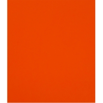 Фоаміран, 60*70 см, 1,3 мм, помаранчевий
