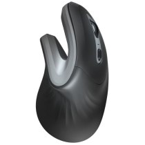 Миша Trust VERRO ERGONOMIC WL