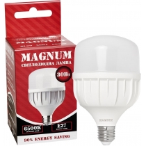 Світлодіодна лампа MAGNUM BL 80 30w E27 6500K