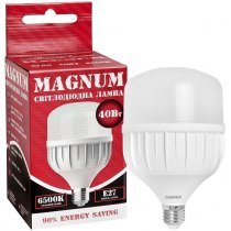 Світлодіодна лампа MAGNUM BL 80 40w E27 6500K