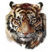Набір для творчості зі стразами на підрамнику "Мудрий тигр" 20*30 см