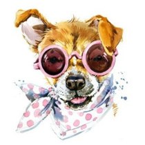 Набір для творчості зі стразами на картоні 5D "Dog fashion"  21*25см