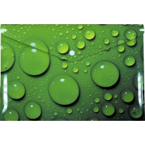 Папка-конверт А4 на кнопці з друком Green Bubble, 180 мкм, непрозора, фактура 