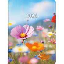 Щоденник датований 2026, А5