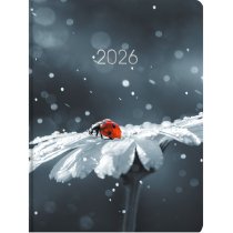 Щоденник датований 2026, А5