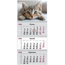 Календар настінний квартальний 2026 р.,3 пр. Cats 1