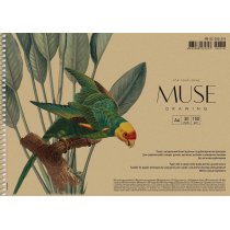 Альбом для рисования, А4/30л., 150г/м2, крафт