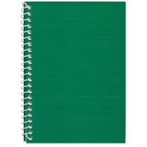 Блокнот А5 Economix, пластикова обкладинка (фактура полоса), бічна спіраль, 48 арк., лінія, зелений