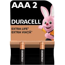 Батарейка DURACELL AAA MN2400 2шт. в упаковці