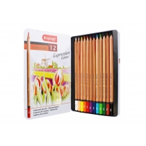 Набір кольорових олівців EXPRESSION, 12шт., мет.коробка, Bruynzeel