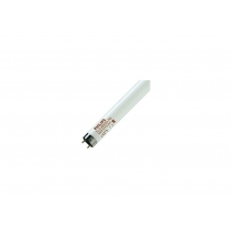 Лампа люминисцентная PHILIPS TL-D 36W/54 G13