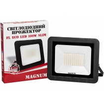 Прожектор світлодіодний MAGNUM_FL ECO LED 100Вт slim_6500К_IP65