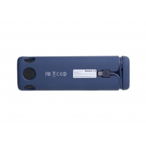 Портативная акустика PURIDEA i2SE Bluetooth Speaker Blue