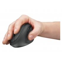 Мышь  Trust Orbo Wireless Ergonomic Mouse черный