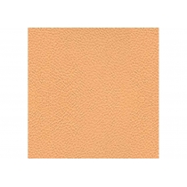 Крісло SAMBA GTP V-17 1.031, позов. шкіра, бежевий, метал. хром. база, дерев. підлокітн.