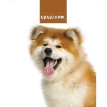 Дневник школьный, 165х210 мм