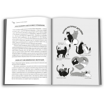 Книга "Суцільне котяче моджо. Путівник по життю з вашим котом"