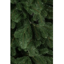 Ялинка лита "Ковалівська" (зелена) 2,10м