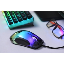 Мышь 2E GAMING MG345 RGB USB Transparent