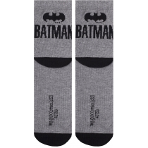 Шкарпетки підліткові демісезонні бавовняні BATMAN DUNA 5411; 22-24; сірий меланж