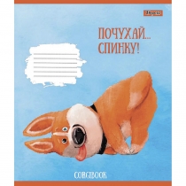Тетрадь 18 листов, клетка, "Corgibook"