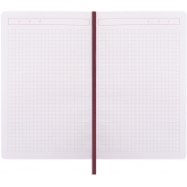 Діловий записник SQUARE, А5, тверда обкладинка, гумка, білий блок клітинка, червоний