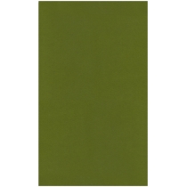 Фетр листковий (поліестер), 50х30см, 180г/м2, зелений травянистий
