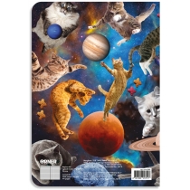 Блокнот "Коти у відкритому космосі" A5, Orner