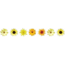 Рол стікерів "Жовто-гарячі квіти" в стрічці на клейкій основі