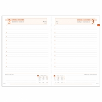 Щоденник датований А5 2024 Leo Planner "Case", інтегральний, 368 стор., гірчичний