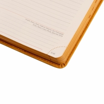 Щоденник датований А5 2024 Leo Planner "Case", інтегральний, 368 стор., гірчичний