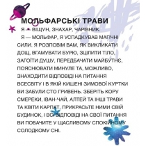 Ароматичний дифузор ТМ Sabrise Uаir "Мольфарські трави" , 100 мл