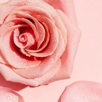 Міцелярна вода для очищення шкіри обличчя Garnier Skin Naturals з трояндовою водою 100 мл