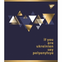 Зошит 48 аркушів, лінія, "Palyanytsya" мат. ВДЛ+ УФ-спл+Pantone Gold