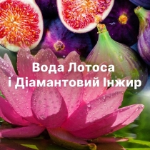 LENOR Кондиціонер для білизни Діамантовий Інжир і Водний Лотос 700мл