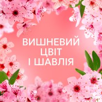 Кондиціонер для білизни Lenor Вишневий цвіт та шавлія 32 цикли прання 675 мл