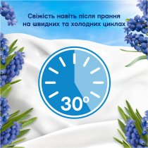 Кондиціонер для білизни Lenor Капрі 59 циклів прання 1.239 л